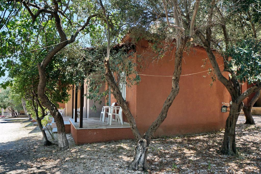 Campsite Pefka Mytilene