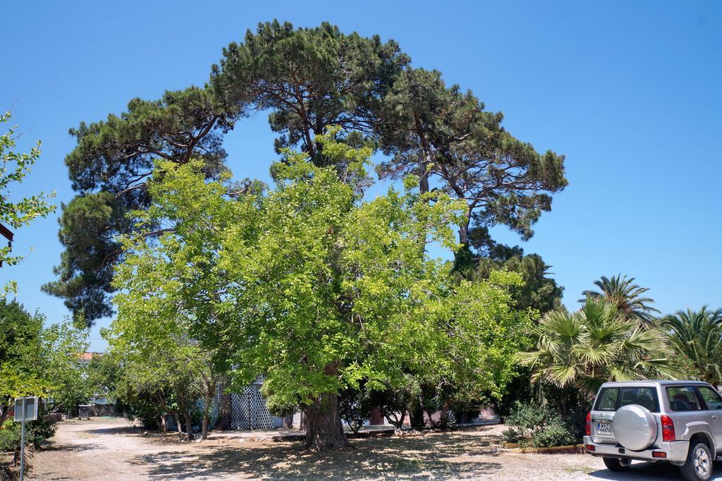 Pefka Campsite *